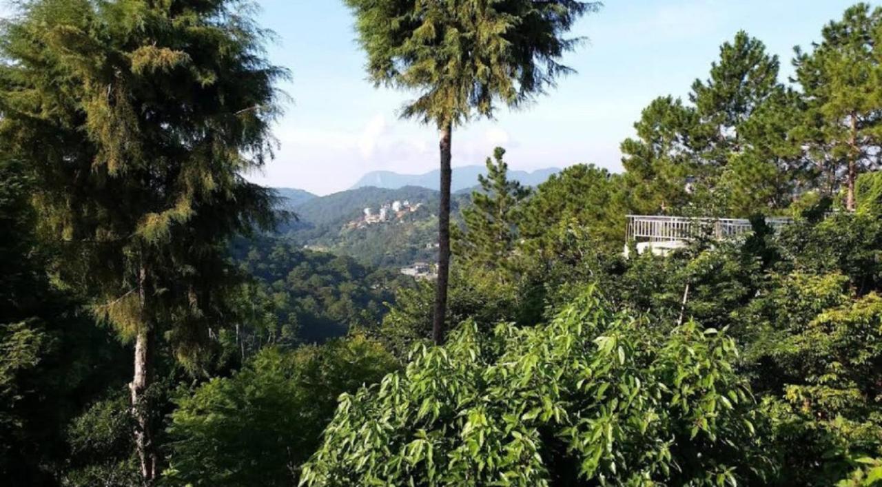 Villa Dieu Thong - Secrect Garden, View San May Va Nui Dalat Luaran gambar