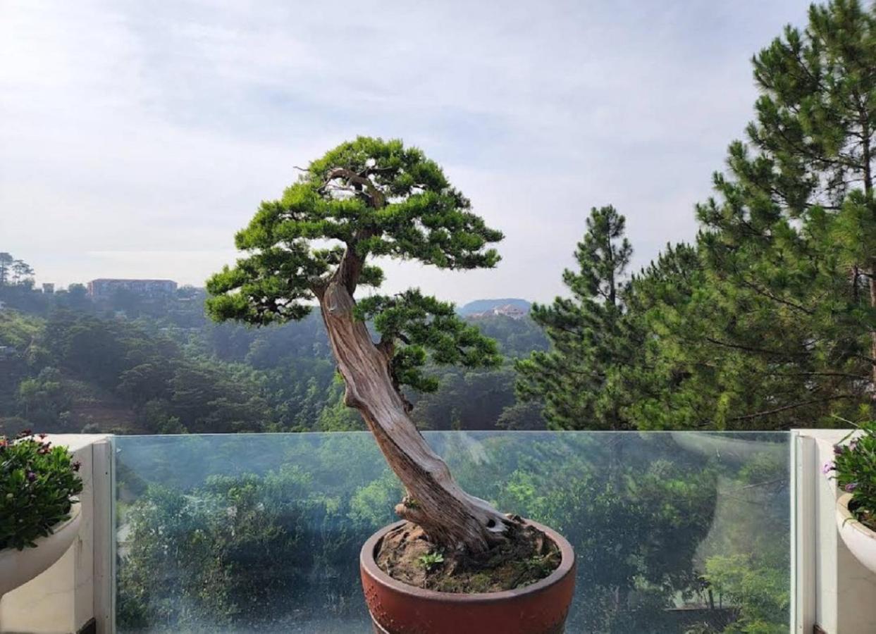 Villa Dieu Thong - Secrect Garden, View San May Va Nui Dalat Luaran gambar