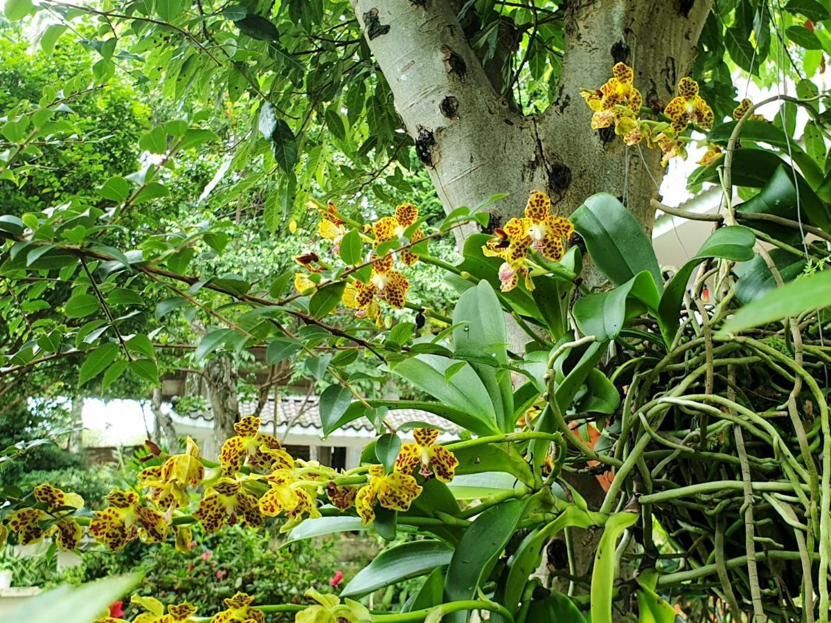 Villa Dieu Thong - Secrect Garden, View San May Va Nui Dalat Luaran gambar